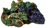 Sparkling Azurite Crystal Cluster with Malachite - Laos #56061-2